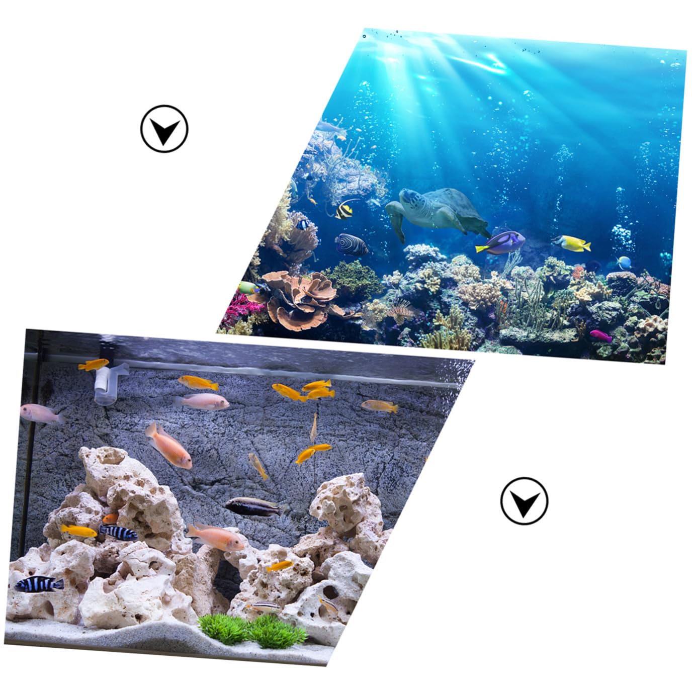 Didiseaon 10pièces Abri pour Poissons Roche Naturelle Décoration Aquarium Forme De Grotte Habitat pour Poissons Eau Douce Et Eau De Mer