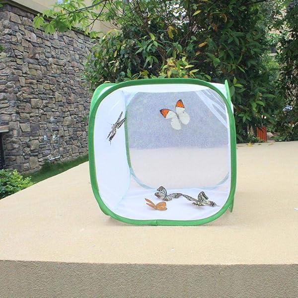 Jaula de hábitat Grande para Insectos y Mariposas, Jaula de cría ventilada con Material de Red de Hilo de poliéster, hábitat portátil de Oruga, para Cultivar Insectos en(30 * 30 * 30cm) - 2