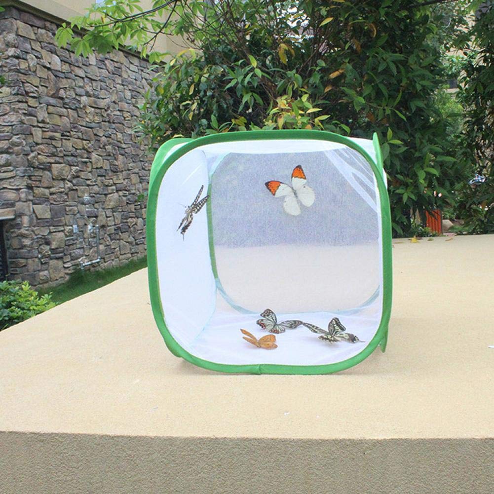 Grande Cage d'habitat pour Insectes et Papillons, Cage d'élevage ventilée avec matériau en de Fil de Polyester, Habitat Portable en Chenille, pour cultiver des Insectes (30 x 30 x 30 cm)