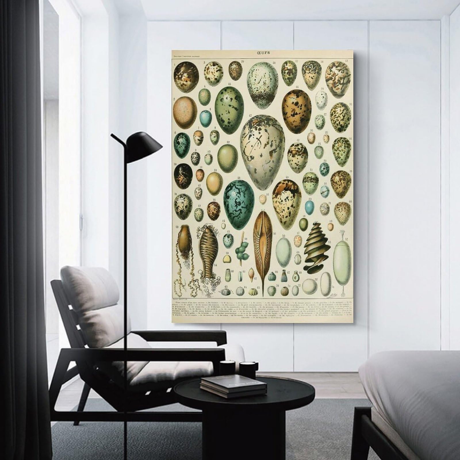 Junmoney EGGS Oeufs A Home Decor Wall Art, 20x30inch(50x75cm), for New Homes, Bedrooms Or Workspaces, Gift Idea for Housewarming And Birthdays
