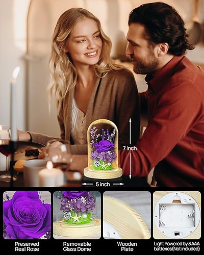 Miniatura 2 de Flores de rosas preservadas, regalos de rosas de la Bella y la Bestia para mujeres, regalos de rosas eternas para ella, regalo de rosa de cristal