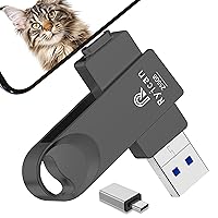 [Senza APP] Chiavetta USB per lPhone,Ryican 256GB Memoria Esterna Pendrive USB C 3.0