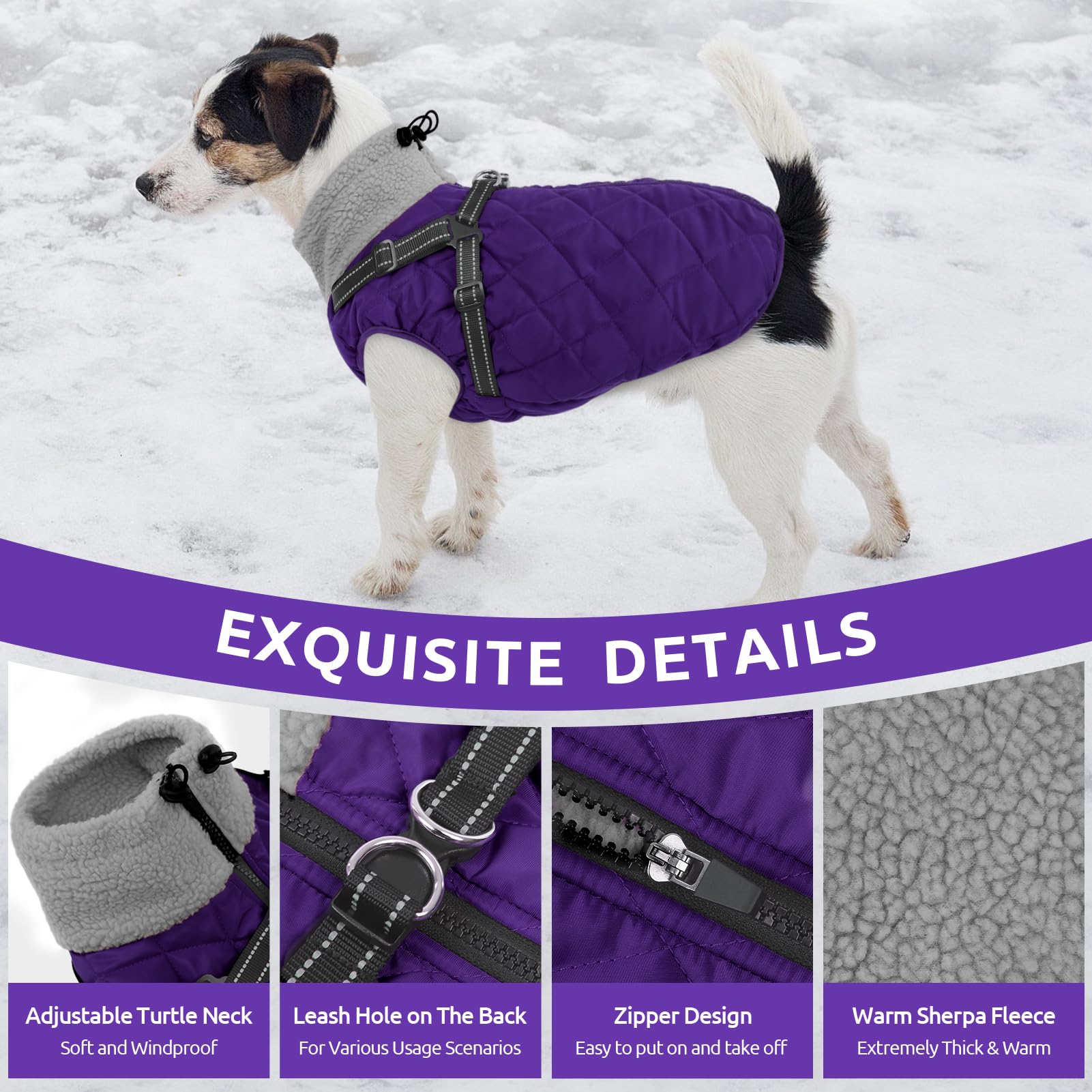 Queenmore Hundemantel Winter Hundejacke Kleine Hunde Wasserdicht