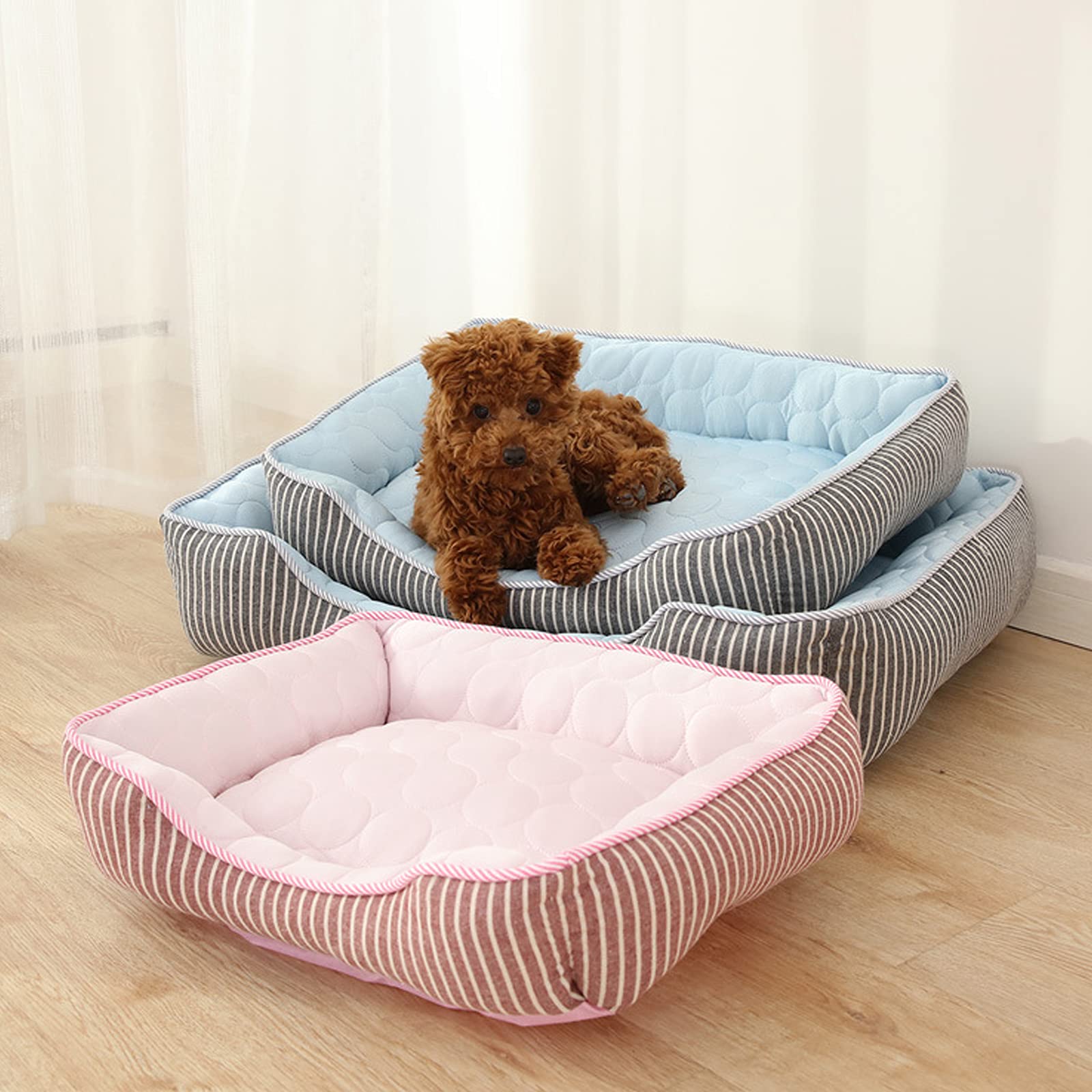 PETCUTE Lit Orthopédique pour Chien de Taille Moyenne,Anti-anxiété,Frais Paniers pour Chiens avec Fond Antidérapant,Lavable Canapé pour Chien Grande Taille,Convient pour l'été(Bleu,L)