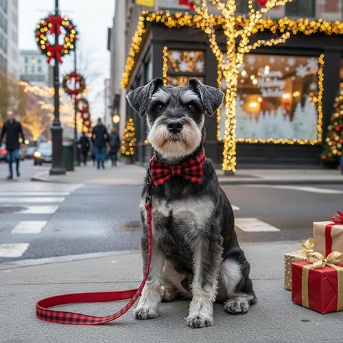 Miniatura 109 de PETDURO Collar de perro personalizado con nombre y teléfono grabado en hebilla de metal – Personalizado para perros medianos y grandes – Impresiones