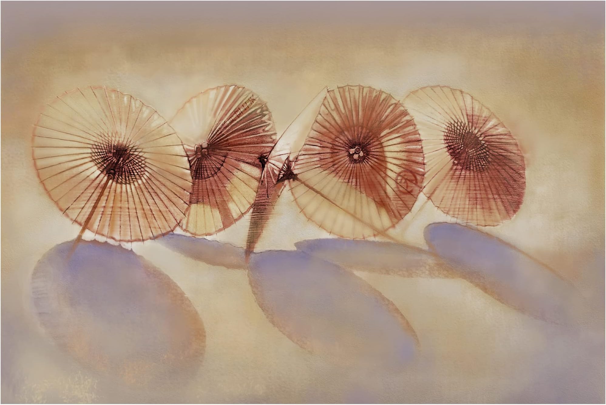 Trademark Fine Art 'Parisols I' Canvas Art by Bruce Dean 16x24