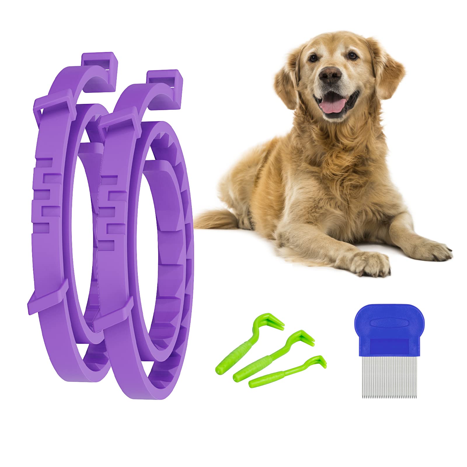 Can I Put A Flea Collar On An Infested Dog