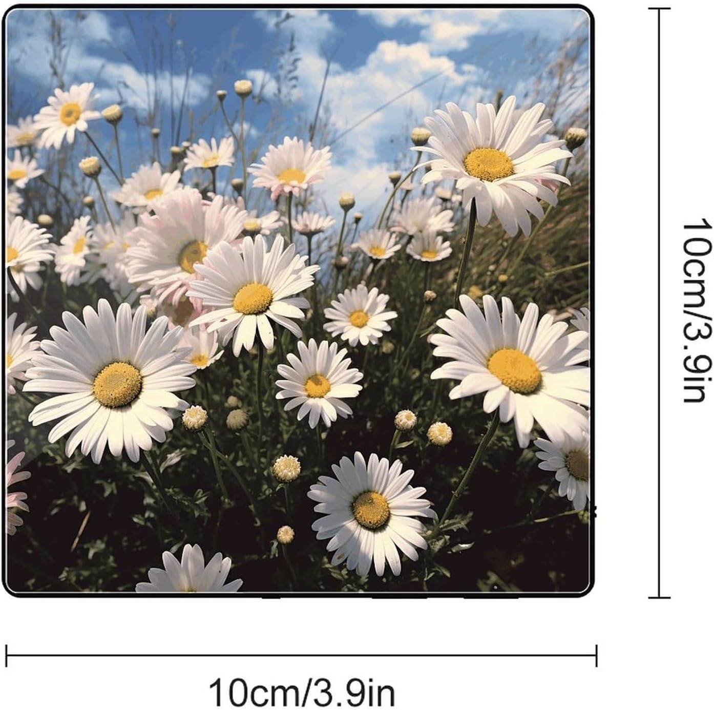 Beautiful Daisies Music Refrigerator Sticker image 2