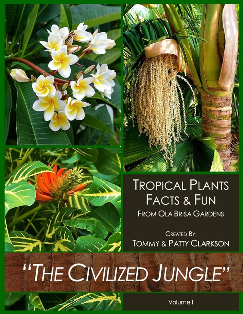 英語版　Tropical  Candy Shop Cherry Cola - 80Mg Nicotine Pouches Extremely Strong