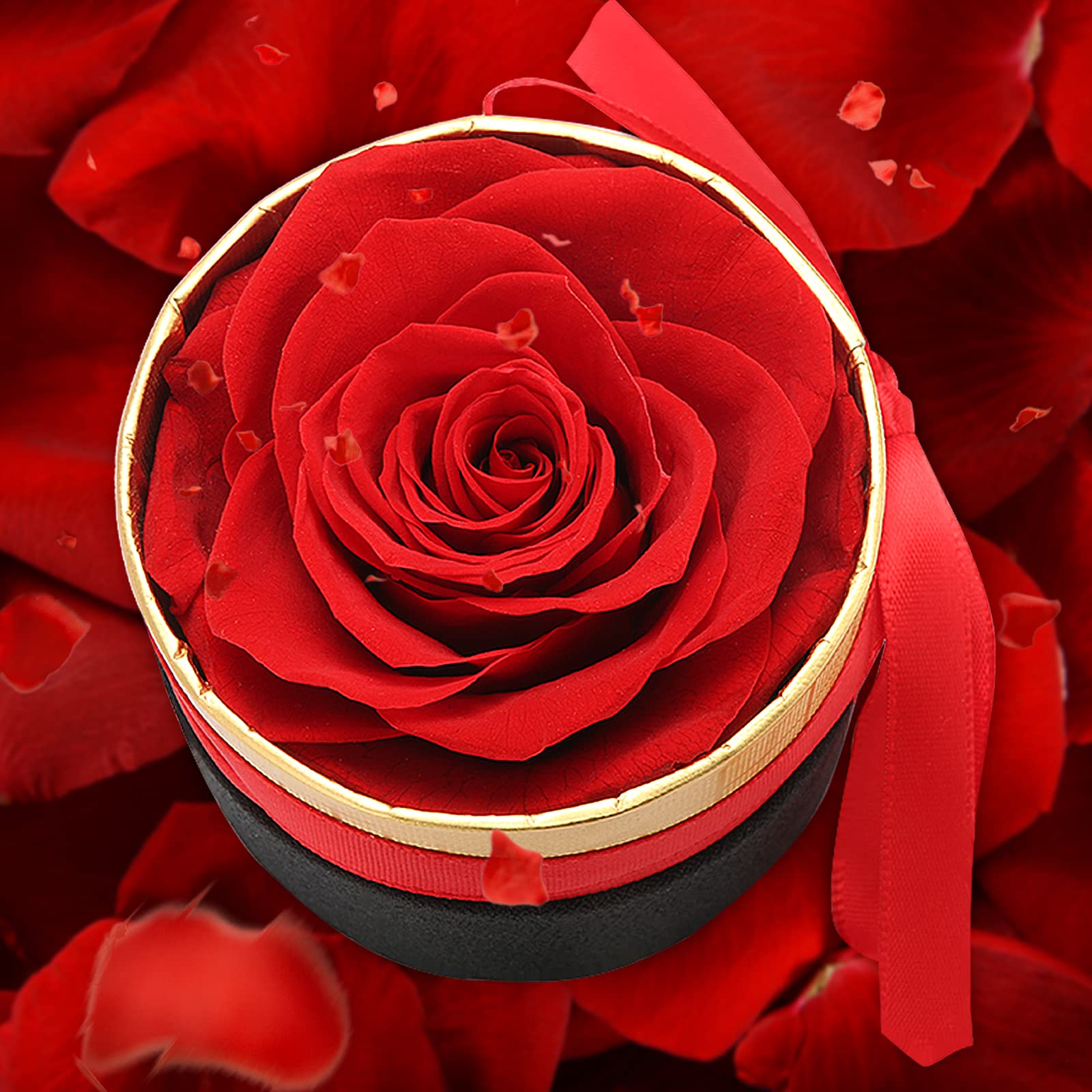 RANJIMA Rosa Stabilizzata Regalo Donna, Festa della Mamma Idee Regalo, Rosa Eterna Regali per Donne Compleanno, Anniversario Fidanzamento, Fiori Stabilizzati Regali Mamma Fidanzata Moglie Sorella