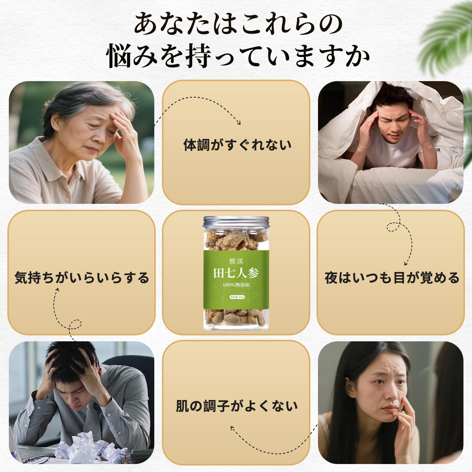 Amazon.co.jp: 煕渓 田七人参300 g 三七人参 三七 特級30頭 雲南文山