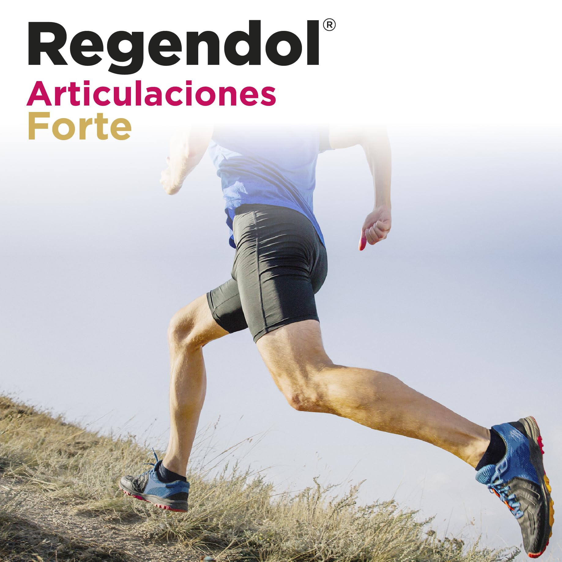 REGENDOL ARTICULACIONES FORTE [Sticks] - Glucosamina, Condroitina y HMB - Huesos, Articulaciónes y Musculos - Con Vitamina C, MSM, Acido Hialuronico, Curcuma y Harpagofito | ELADIET