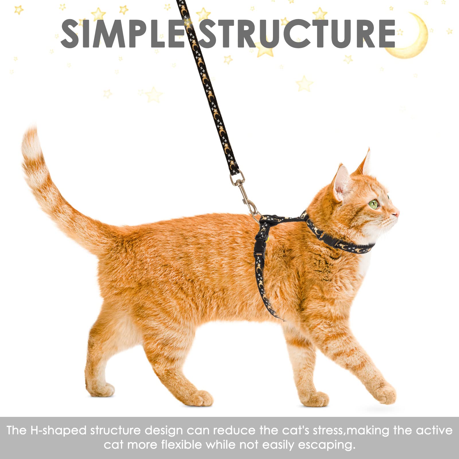 https://m.media-amazon.com/images/I/71vBCFs4I1L.jpg