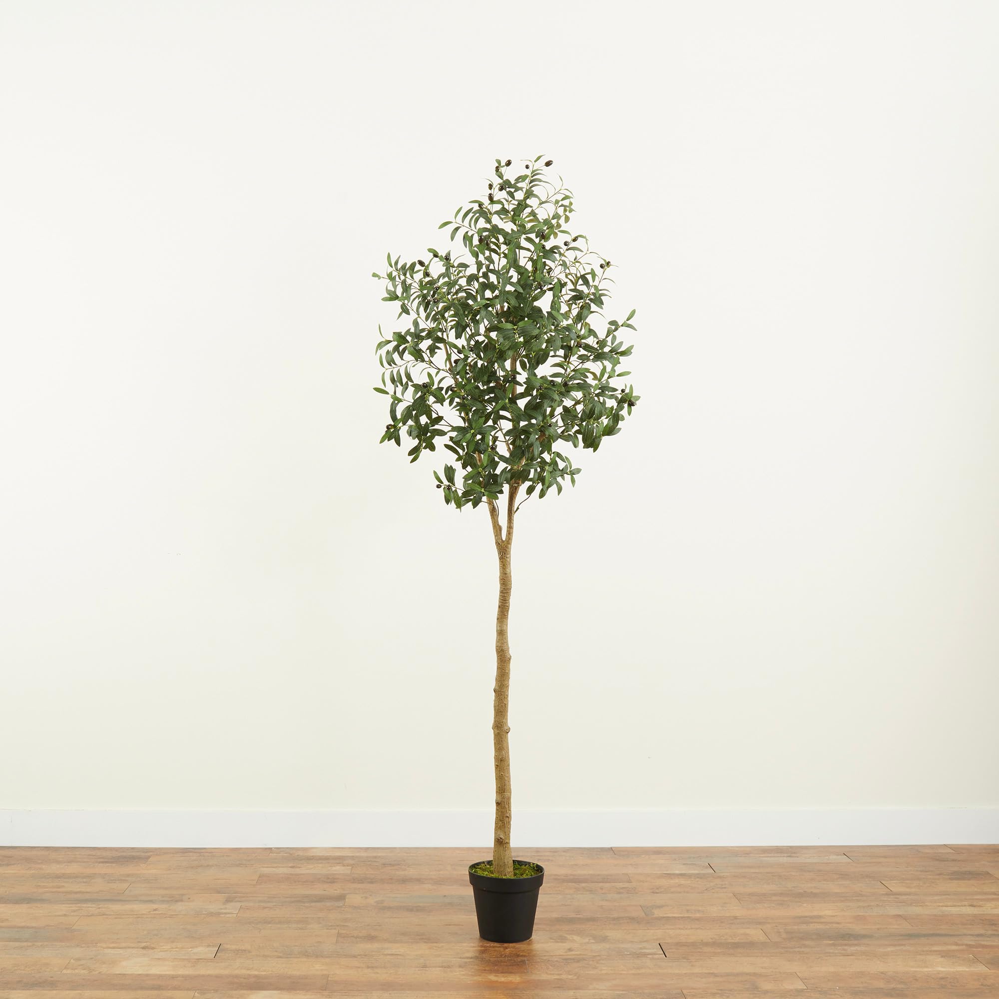 Nearly Natural Albero Bonsai Finto Cedro 38 Cm – Pianta Artificiale In Vaso - 2