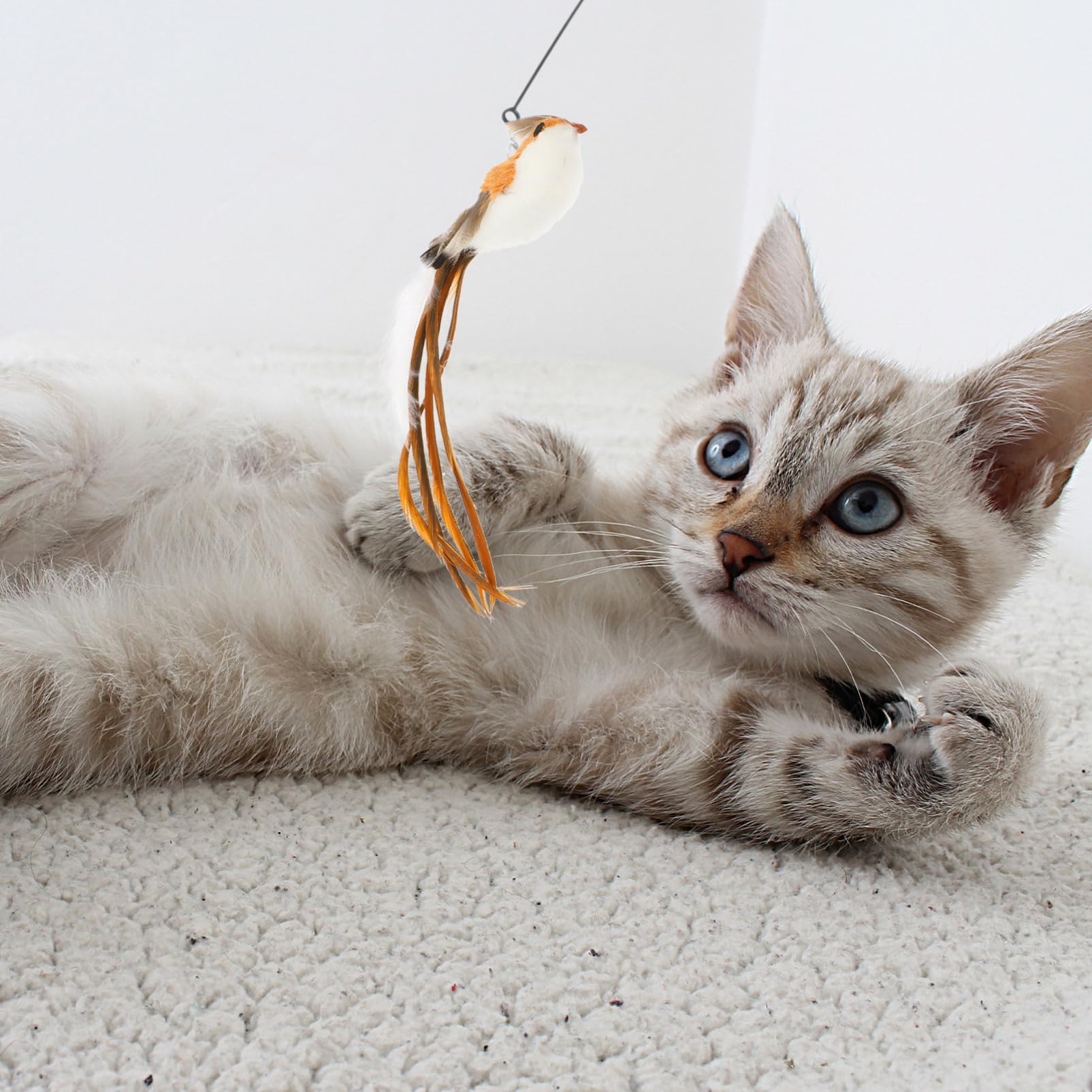 DOITOOL 1ensemble à Chat Interactive avec Recharges Plumes De Têtes De Jeu pour Instinct De Chasse des Félins Intérieur