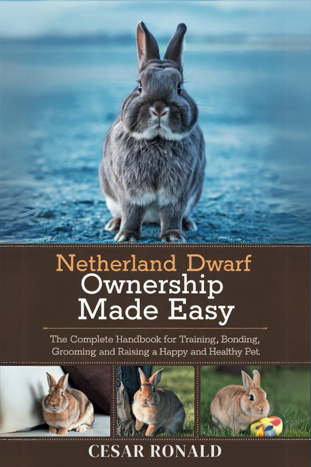 Netherland Dwarf Rabbit Ownership Made Easy: The Complete Handbook For Training, Bonding, Grooming and Raising a Happy And Healthy Pet (The Rabbit Encyclopedia)
