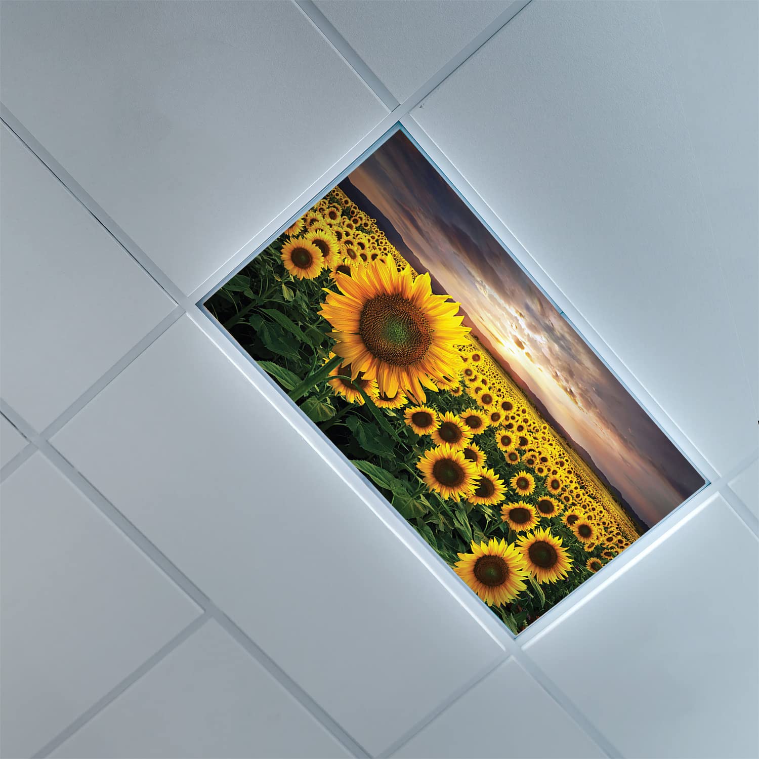 Lorougei Fluorescent Light Covers for Classroom Office-Sunflower Pattern-2ft x 4ft Drop Ceiling Fluorescent Decorative, Multicolor