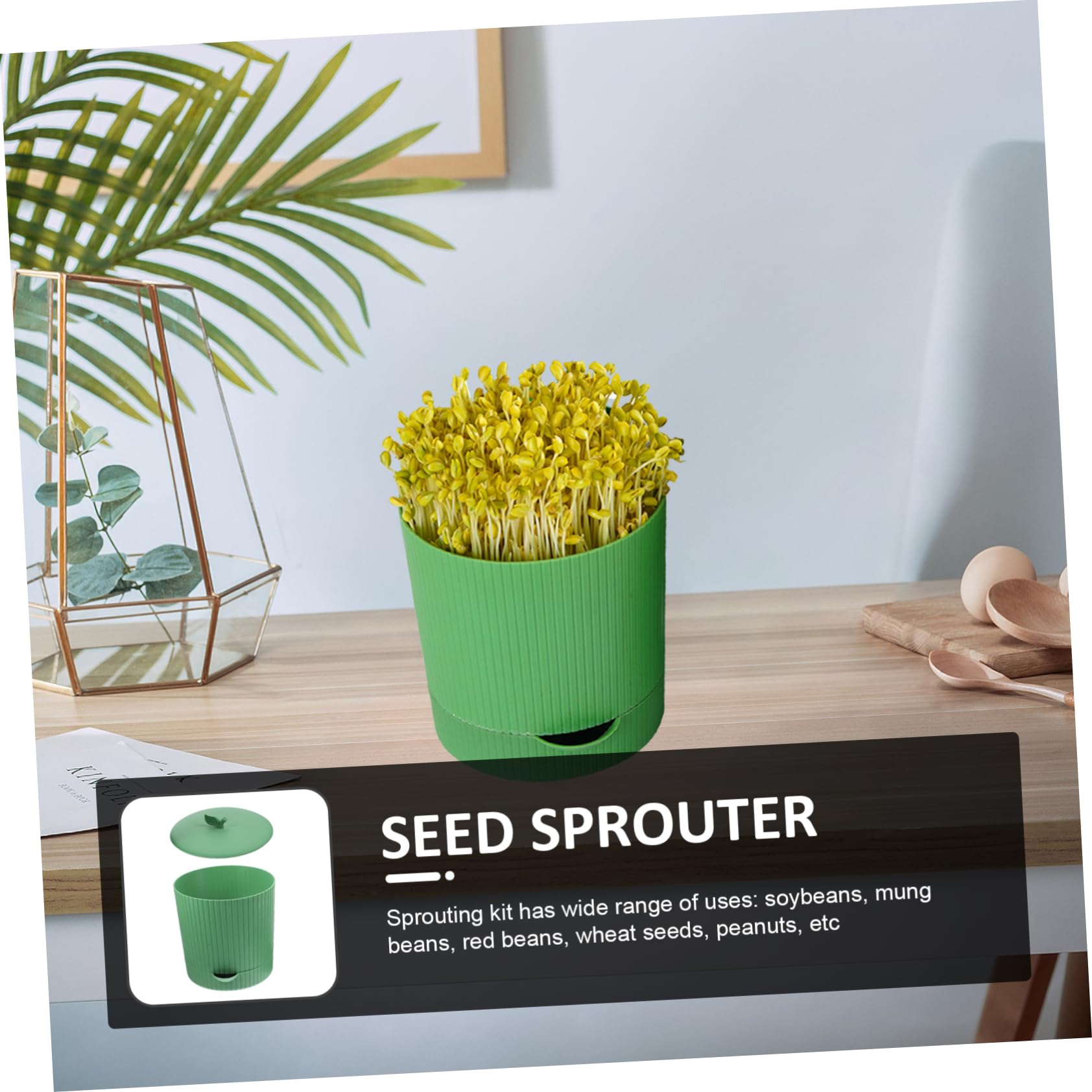 Toddmomy 1 Ensemble Kit de Germination Plastique pour Pousses de Haricots Pot de et Réutilisable pour Maison et Jardin Bac de Germination Non Déformable avec Structure de Verrouillage