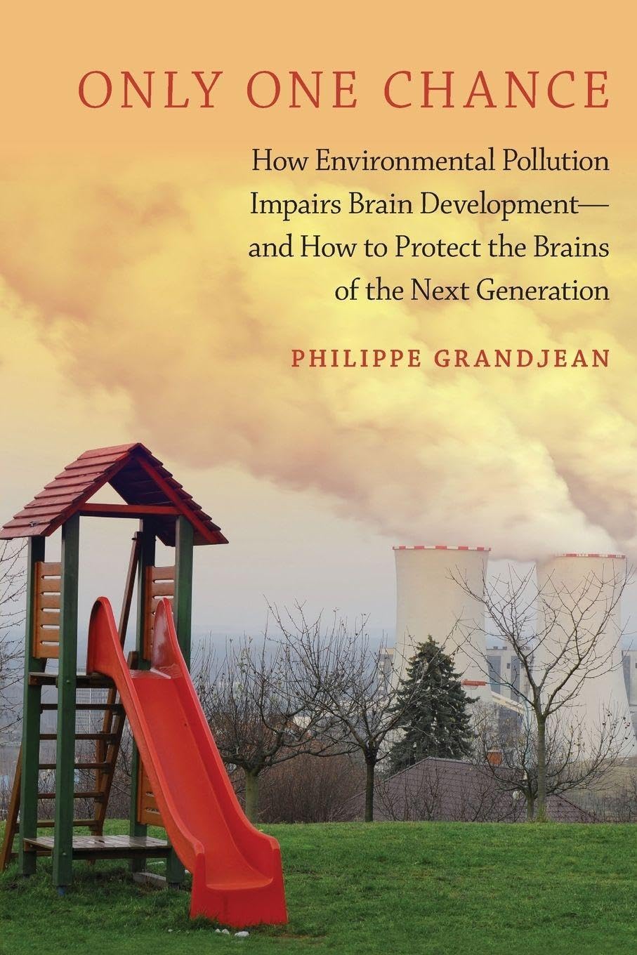 Only One Chance: How Environmental Pollution Impairs Brain Development -- and How to Protect the Brains of the Next Generation (Environmental Ethics