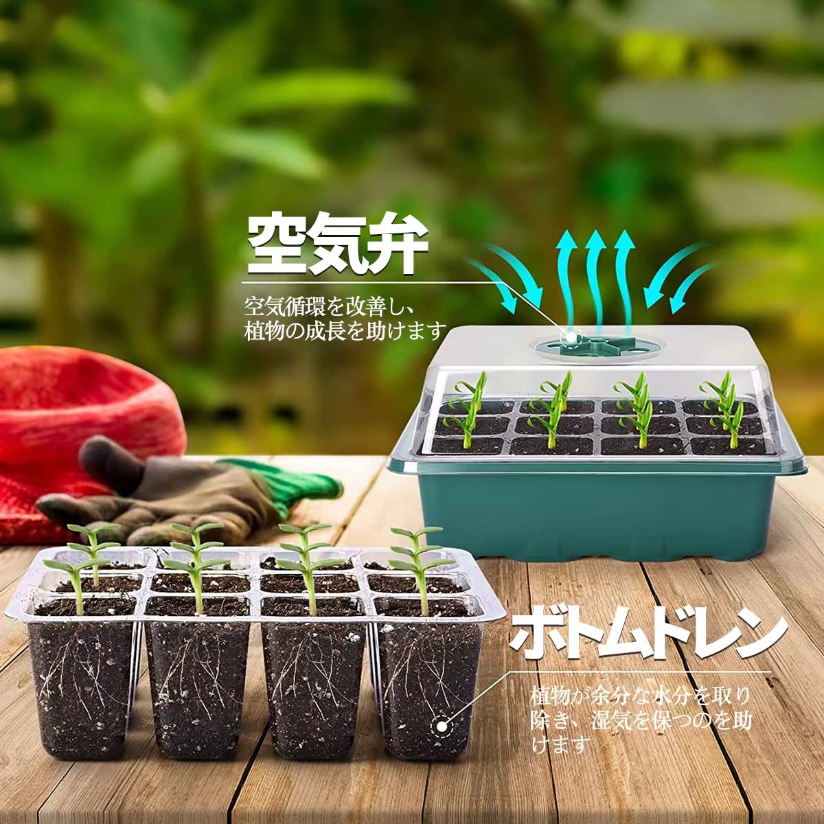 Amazon.co.jp: 育苗ポット 10個セット 育苗トレイ 育苗箱 12穴