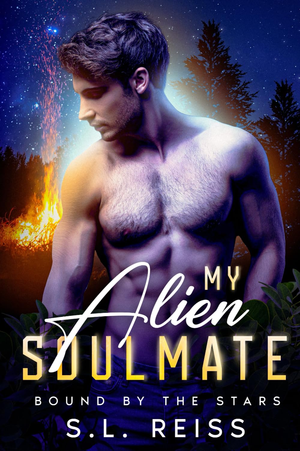 My Alien Soulmate: Bound by the Stars: Book two in the My Alien Soulmate duology: 2