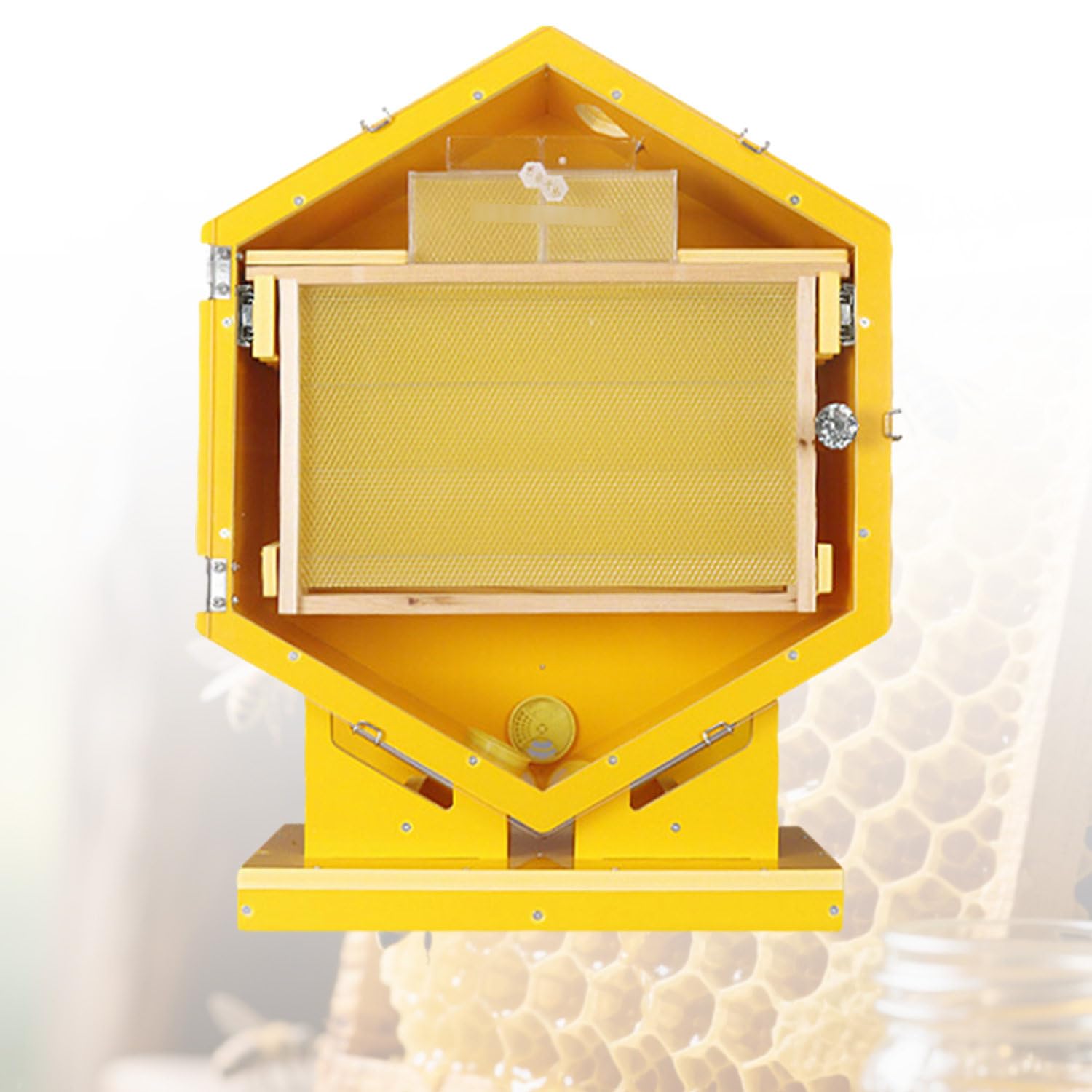 Bienen-Schaukasten, Beobachtungsstock für die Bienenhaltung, wandmontiertes sechseckiges Design mit 3 Rähmchen & 6 Wabenplatten – für Innenräume & Garten
