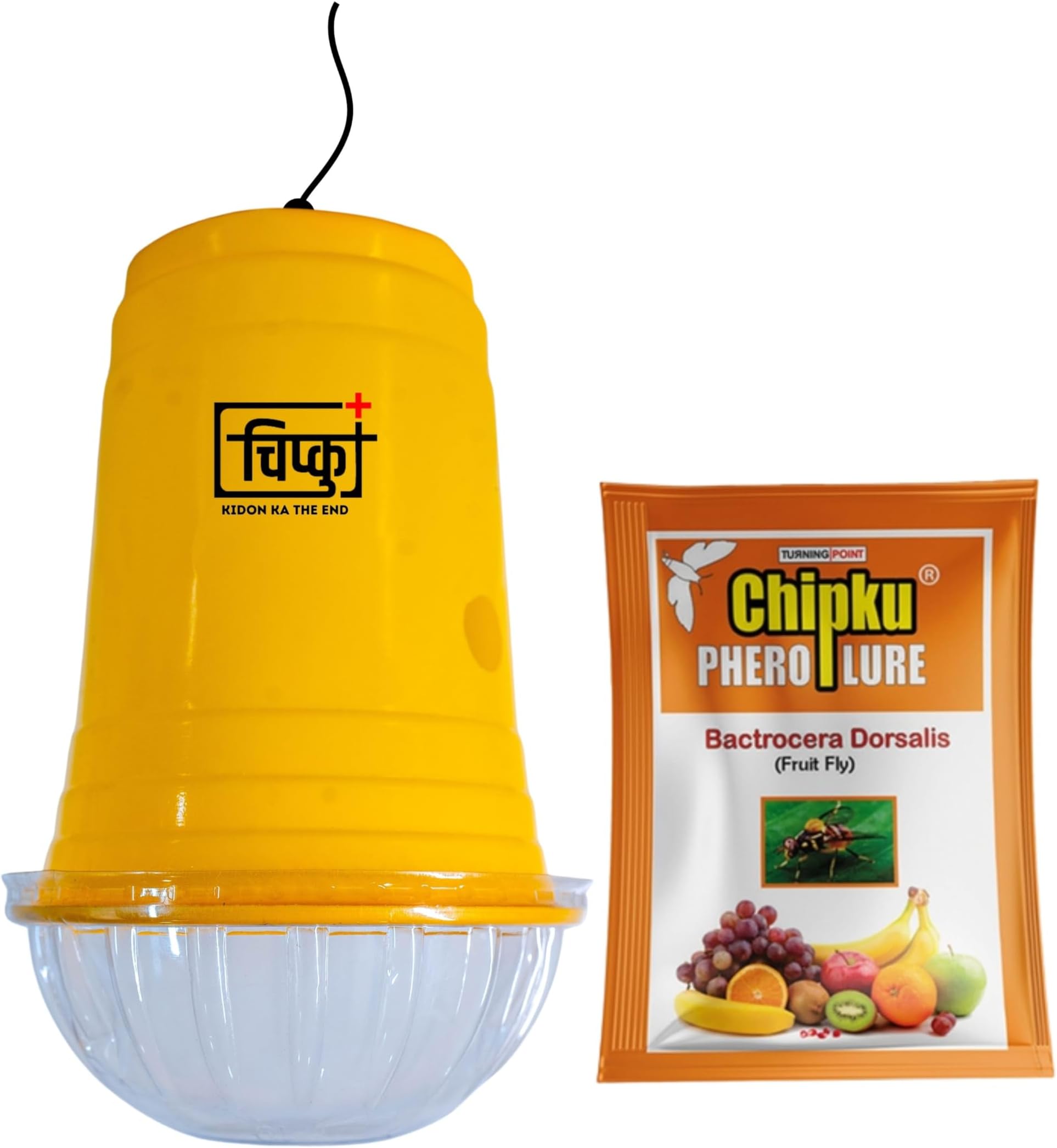 Chipku Glass Fruit Fly Trap with Pheromone Lure - Pack of 50 for Bactrocera Dorsalis Control in Mango, Guava, Papaya, and Other Fruit Crops | Organic Pest Management Solution for Garden & Agriculture