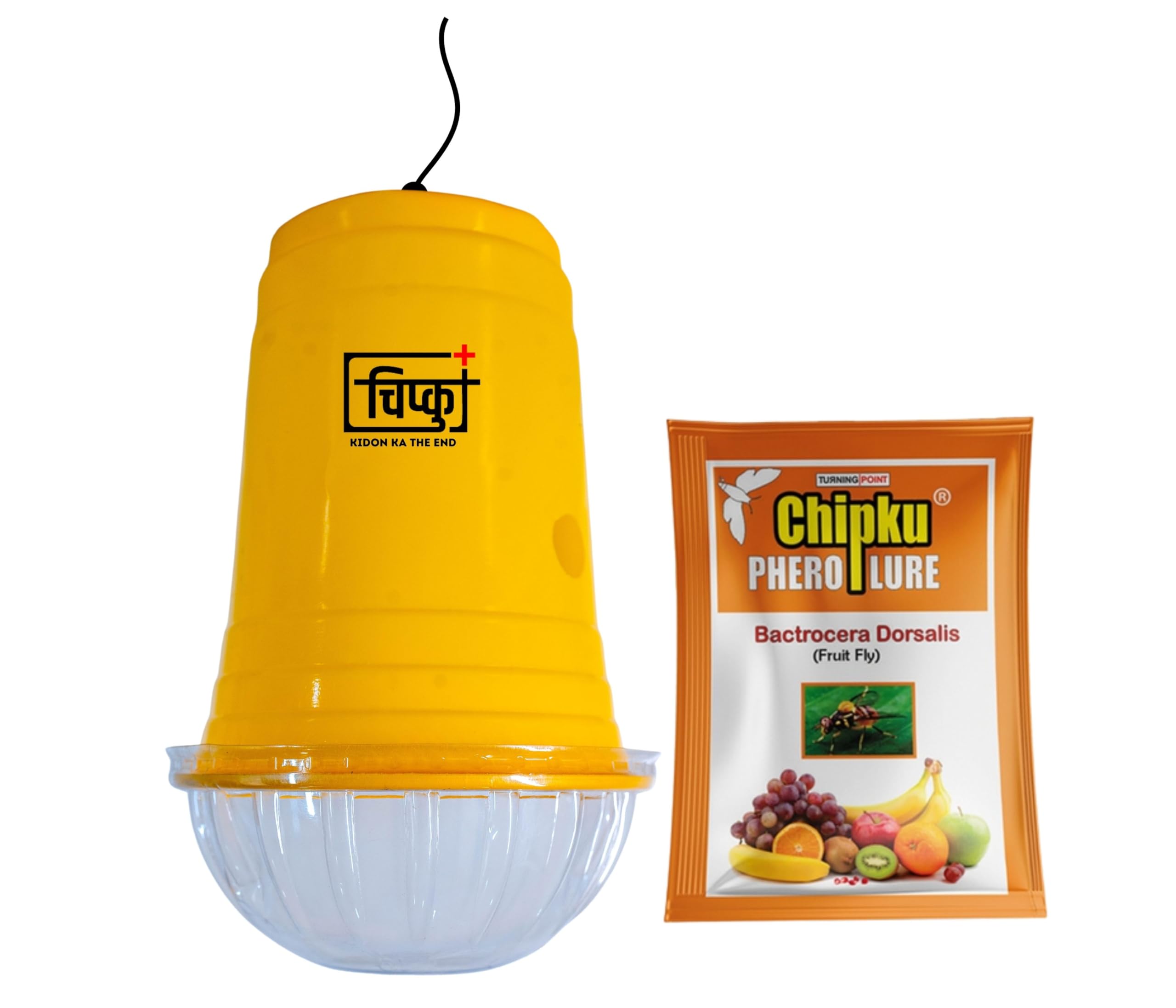 Chipku Fruit Fly Glass Trap Pack of 2 phermone Trap for bactocera dorsalis Insect cacher for Orchards and Fruit Crops with pheromone Lure Combo-image-27