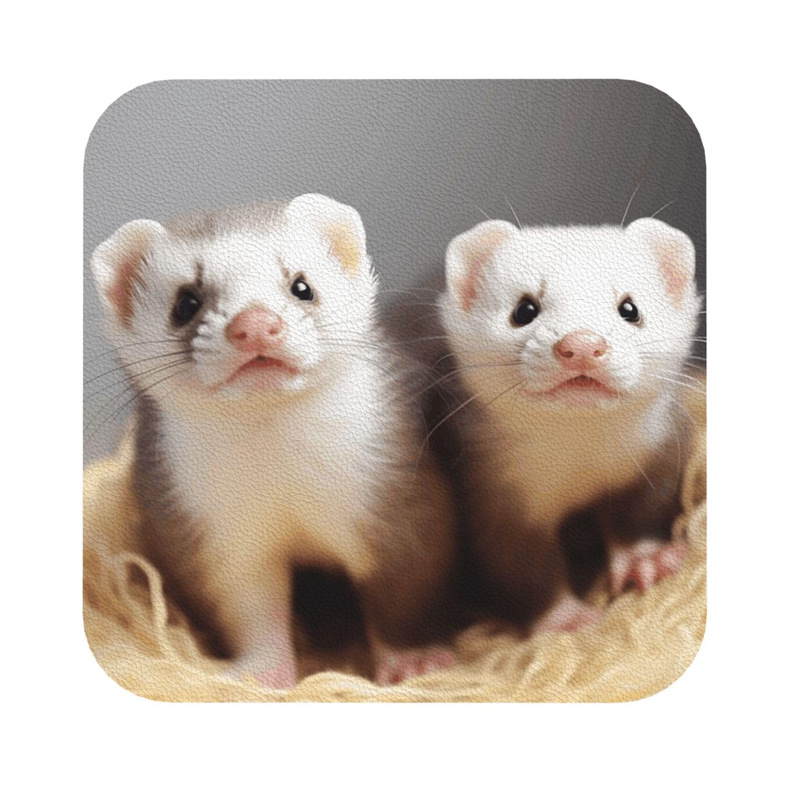 Fodpand Square Ferrets Drink Coasters Set Of 4, Heat Resistant Leather Coasters Fuuny Bar Beer Beverage Coaster For Drinks, Absorbent Cup Mat For Tabletop Protection, Housewarming Gift