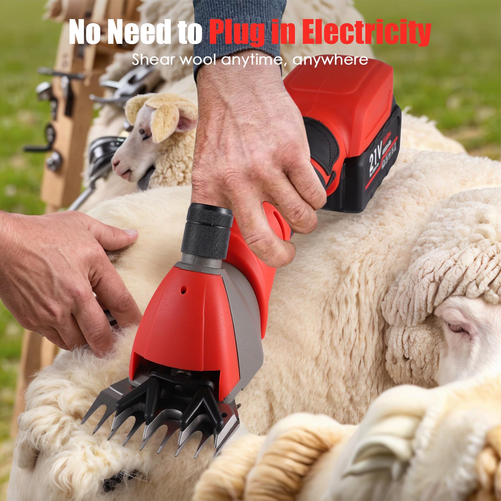Esquiladora de ovejas inalámbrica de 500 W con motor sin escobillas, 3000 RPM, 2 baterías 4000 mAh, 6 velocidades regulables, cabezal ajustable, ideal para ovejas, alpacas, cabras, rojo | Motor de cobre 3000 rpm; autonomía 60min por batería; hoja ajustabl