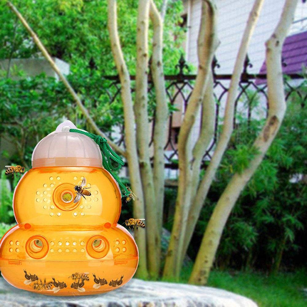 ghujil Trap to Hang to Attract Wasps, and Bees Safe and Nonnoxic, 5, 6 Pack Buy