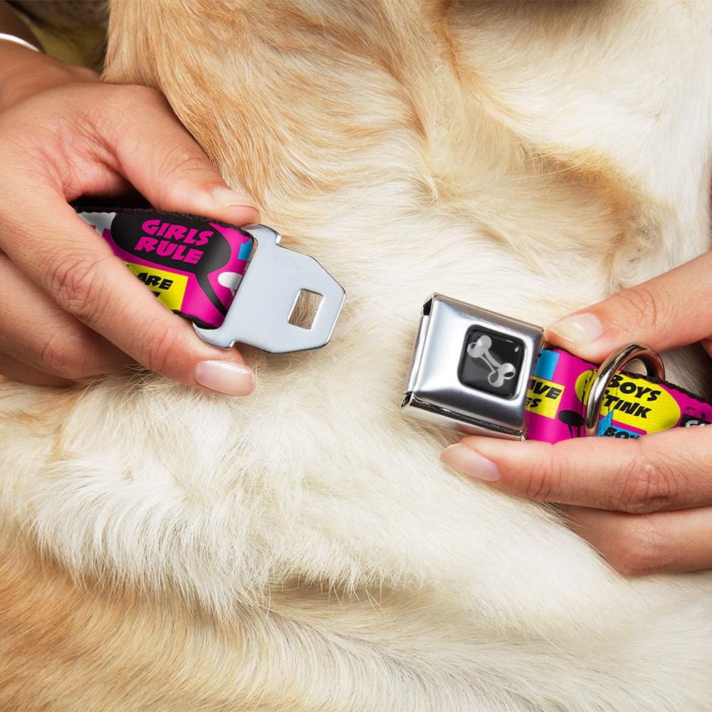 Buckle-Down Seatbelt Buckle Dog Collar - Girls Rule Bubbles - 1" Wide - Fits 11-17" Neck - Medium