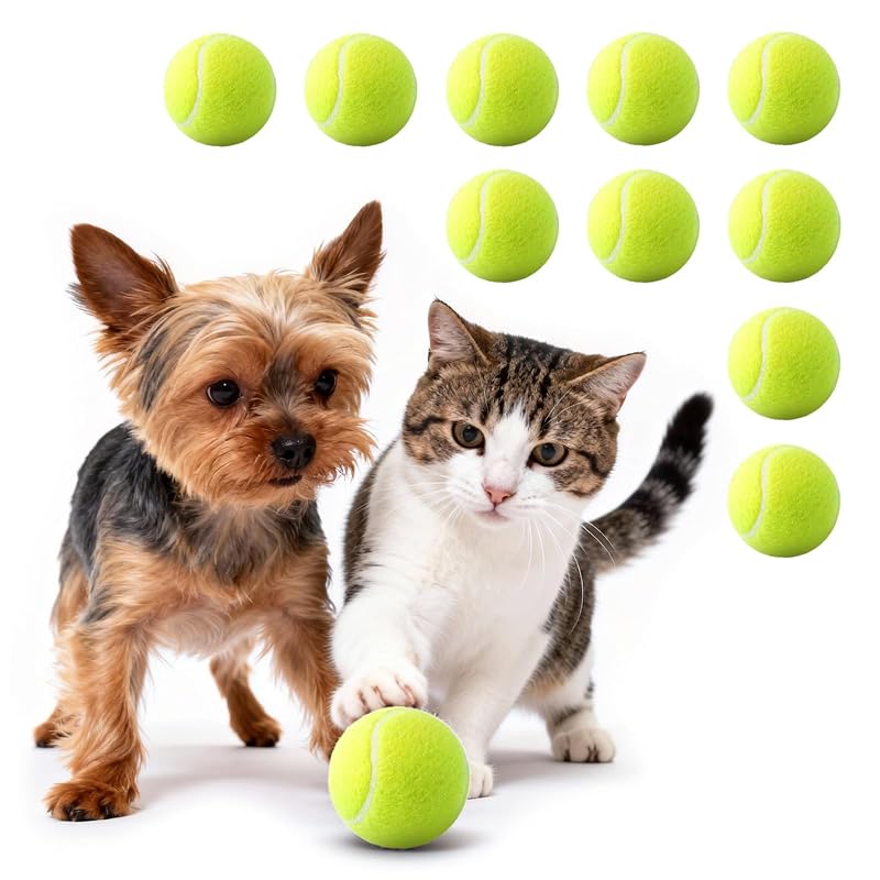 Bolinhas de Tênis para Cães Pequenos em Borracha Natural JDXSZ GreenBall, Pacote com 10