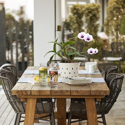 Miniatura 8 de BestAlice Paquete de 5 macetas de orquídeas, macetas de orquídeas de 5.6 pulgadas con agujeros y platillos, macetas de plástico transparente para