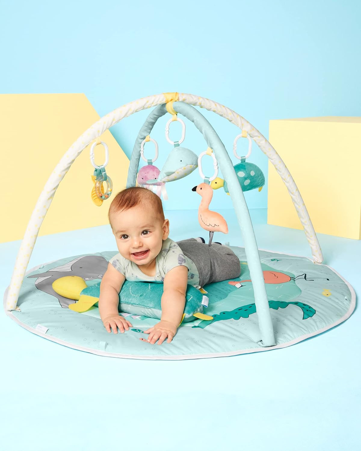 Simple Joys by Carter's Play Gym