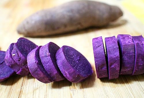 Paletas de camote japonés morado para plantar, cultiva tus propias batatas moradas (5 hojas de plantas)