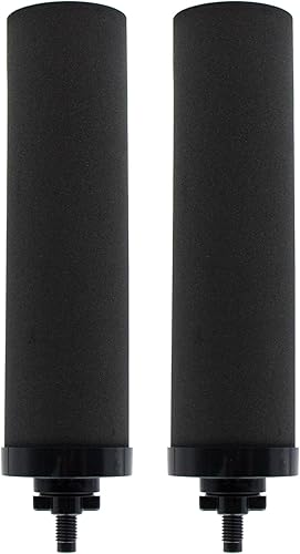 Filtro de agua de repuesto para filtros de carbón activado negro BB9-2, compatible con Berkey Travel, grande, Royal, serie Crown, paquete de 2