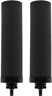 Renami 1 Micron Water Filter Replacement for Berkey® BB9-2 Black Purification Elements and Berkey® Gravity Filter System, Pack of 2