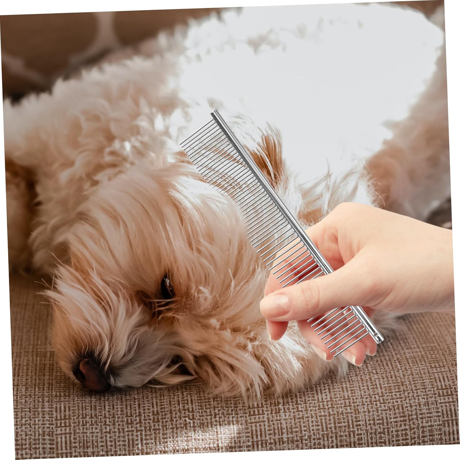 POPETPOP 1 Set Portable Pet Grooming Scissors Kit Lightweight Dog Cat Hair Scissors with Storage Bag for Easy Travel and Use