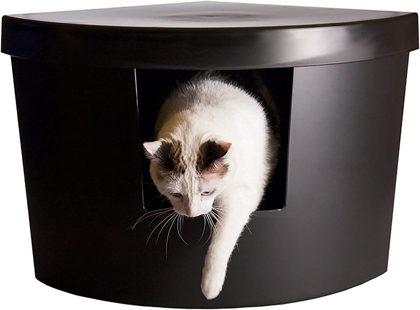 triangular cat litter box