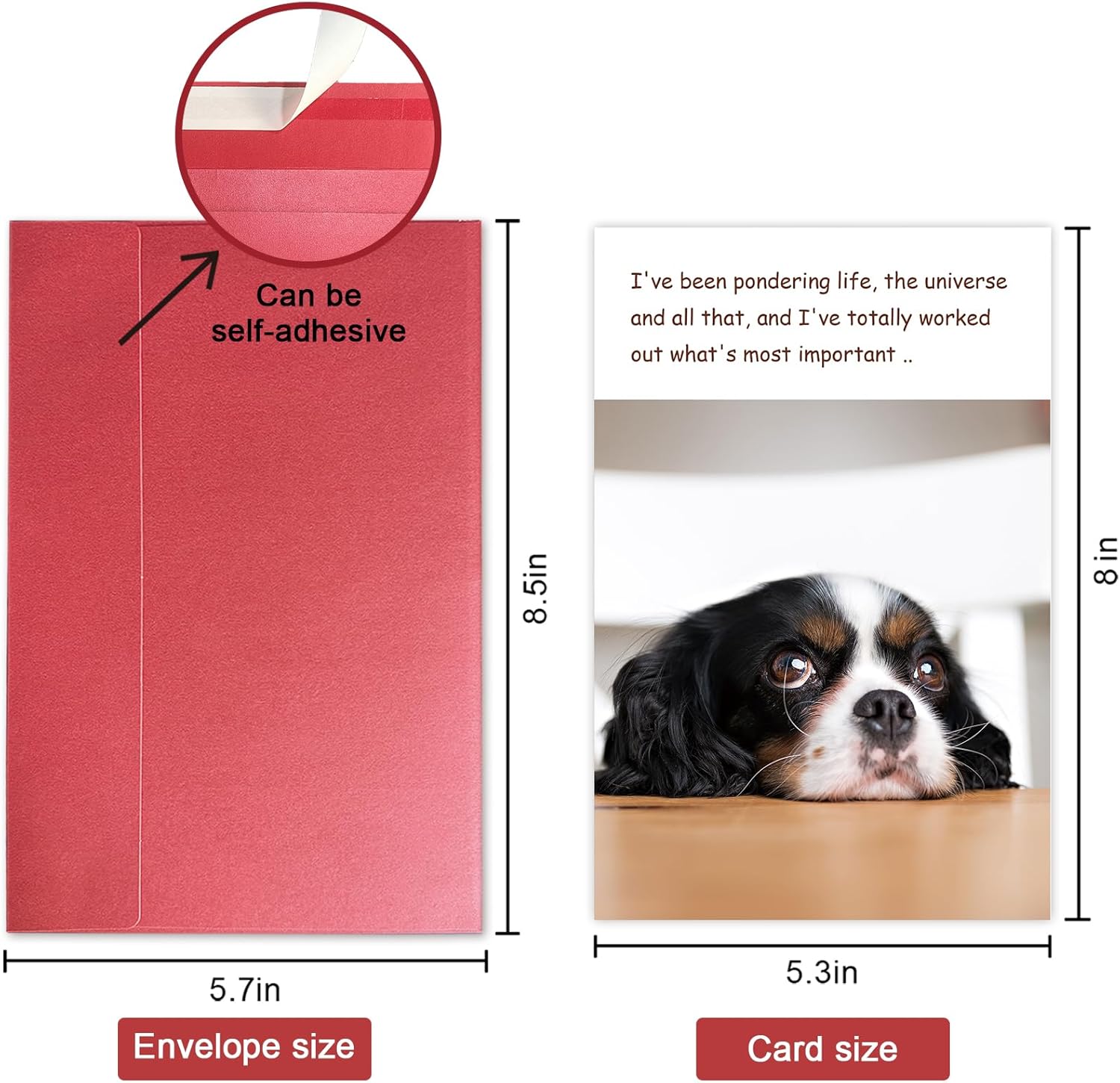 Funny Dog Birthday Card, Humorous Birthday Gift Idea for Dog Lovers, Happy Birthday Card from Doggy - Image 2