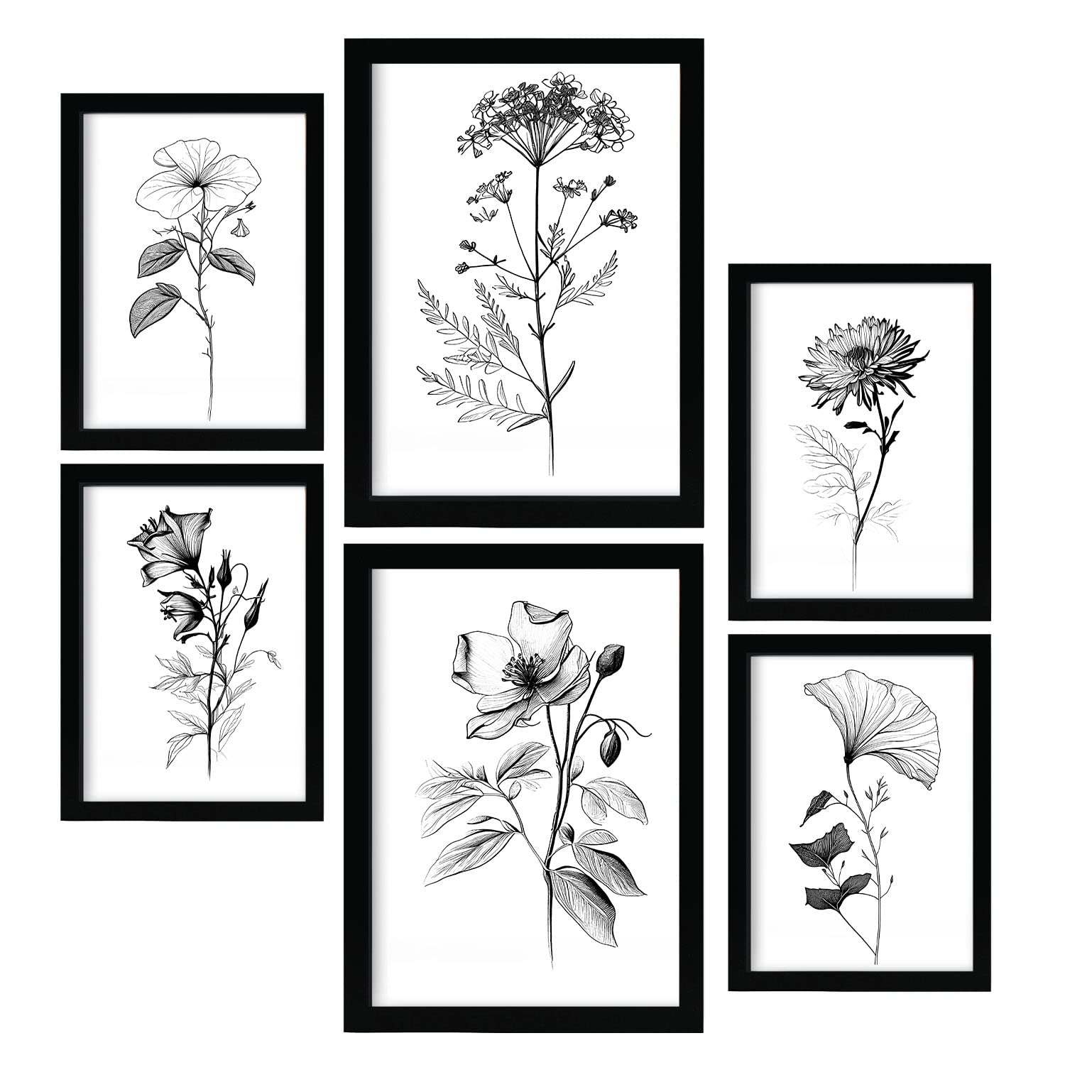 Nacnic Posters di Fiori che Sbocciano. Manifesti di Natura e Botanica con Temi Floreali nel Classico Bianco e Nero. Progettazione e decorazione d'interni. A4 & A3 Cornici nere.
