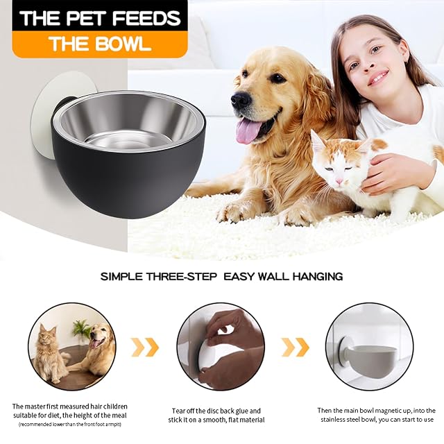 Foto 6 de 7 de DMAIS Cuenco de Pared para Perros, comedero para Perros de Acero Inoxidable