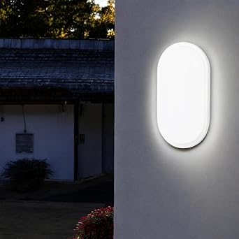 Aydos 20W Oval White LED Humidifier Luminaire   IP65 Waterproof Ceiling/Wall Lamp, 6500K White Light, 2000 Lumens, 27x16.7 cm, Suitable for Indoor and Outdoor Use, Bathroom Balcony Garden Lighting [Energy Class E]