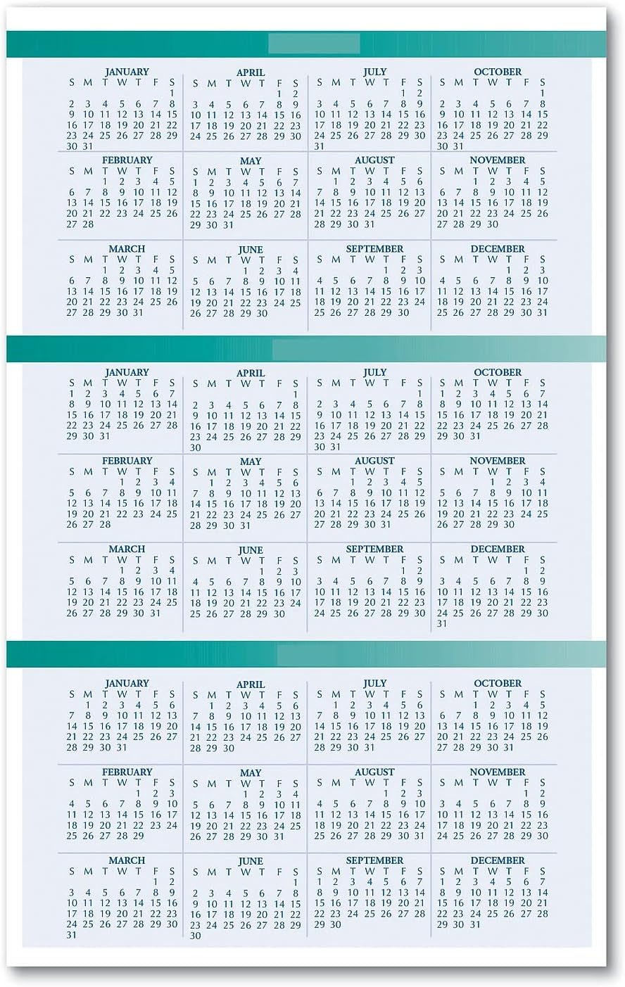 House of Doolittle 2024 Weekly and Monthly Planner Calendar, Express Track, 8.5 x 11 Inches, January - January (HOD29602-24)