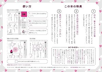 特典つき】小学5年生 漢字セット+下敷き (うんこドリルシリーズ