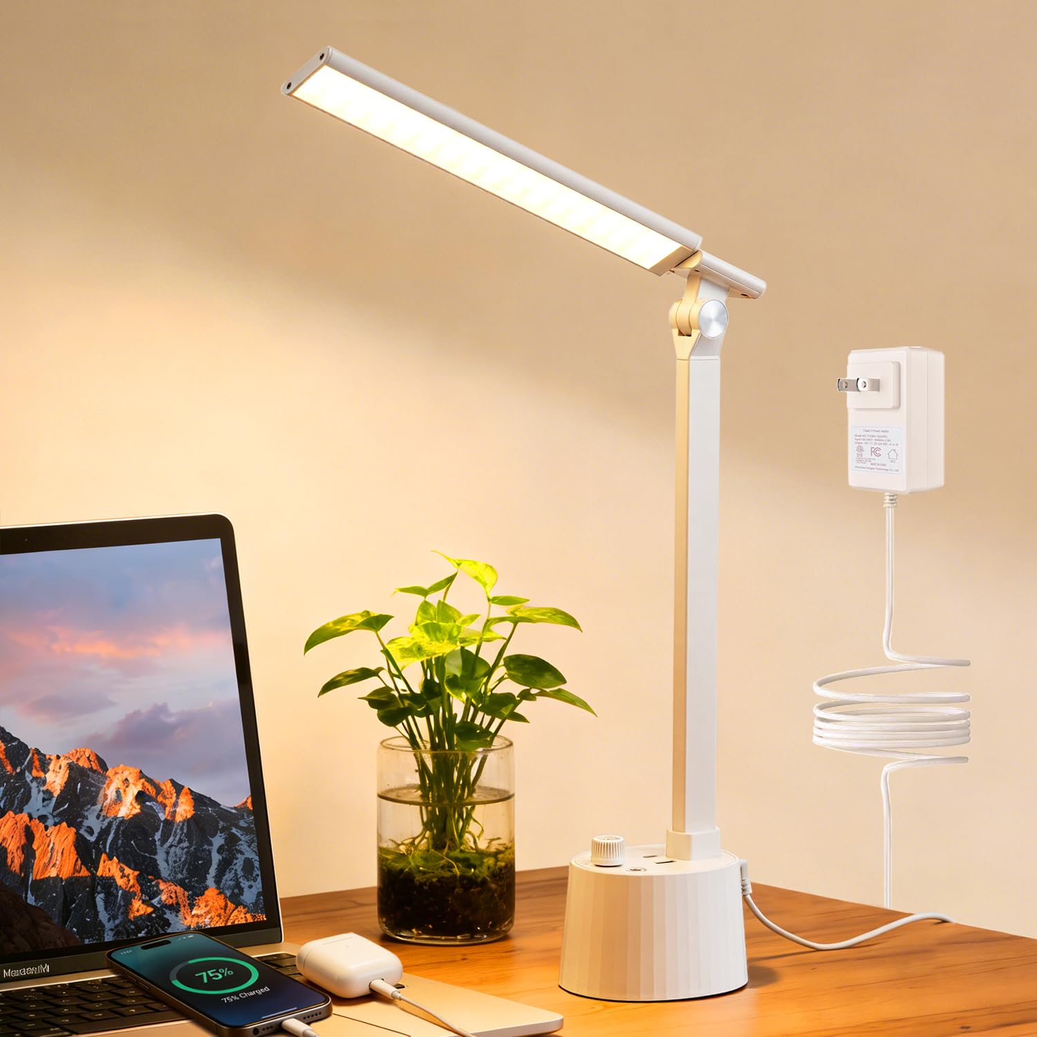 BOHON Small Desk Lamp with USB C Charging Port, Stepless Dim
