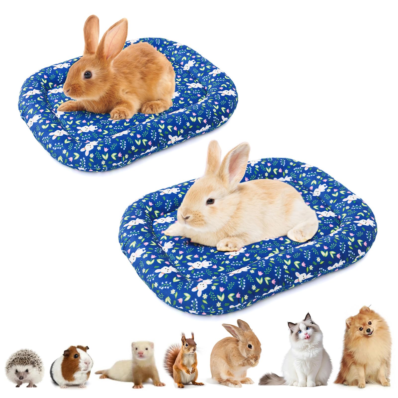 BellyBloom 2 Pack 39x27x5cm Dual-Sided Soft Small Pet Cushion Mat Bed with Pillow Around for Puppy Kitten Sleeping Beds for Carrier Crate Small Dog Rabbits 0-1.5kg Blue โ image 1
