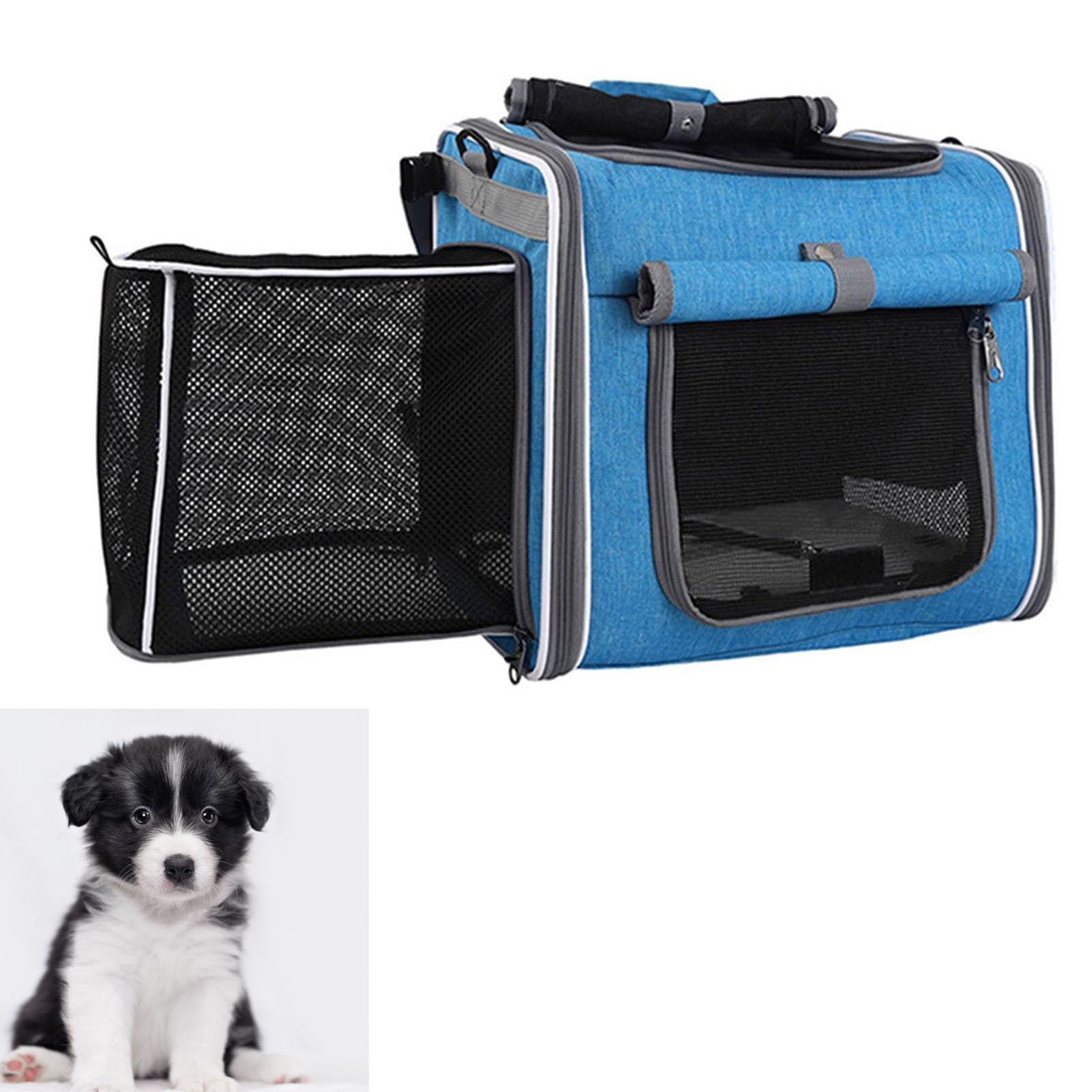 Asixxsix Cesto di bicicletta per animali domestici, Montaggio maniglia a rilascio rapido Portacani pieghevoli espandibili con robusto telaio in metallo e tessuto Oxford a prova d'acqua (BLUE)