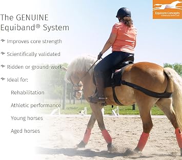Equicore Concepts Complete System, Regular Size, Full Horse